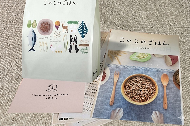 公式サイトから届いたこのこのごはん