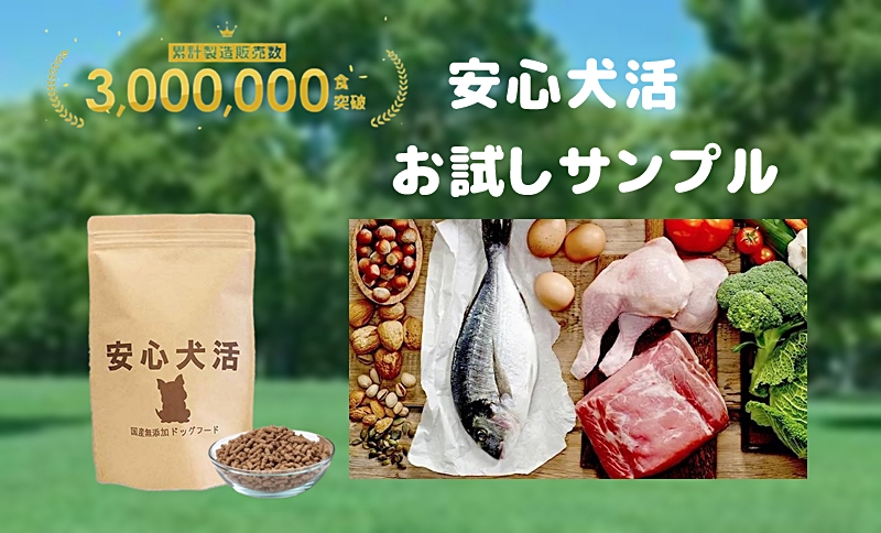 安心犬活はお試しできる