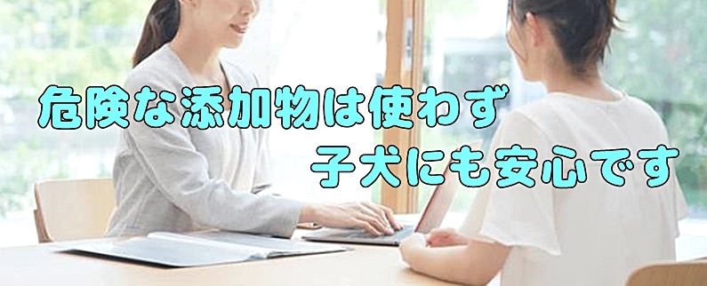 子犬にも安全なフードと説明するスタッフ