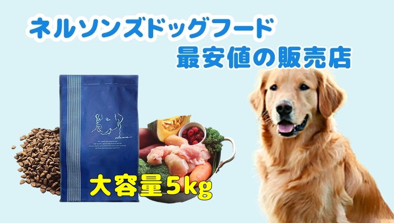 ネルソンズドッグフード最安値