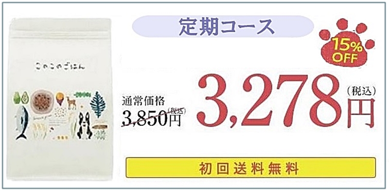 定期コースの価格