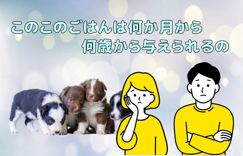 このこのごはんは何ヶ月から？