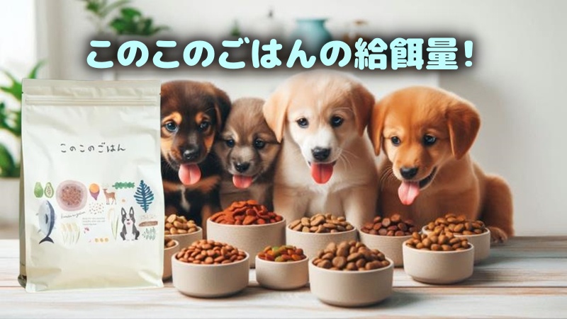 このこのごはんを食べる犬