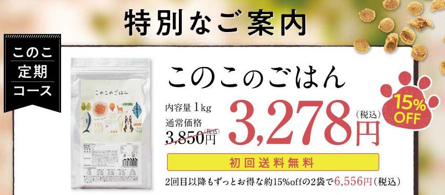 定期コースのお得価格