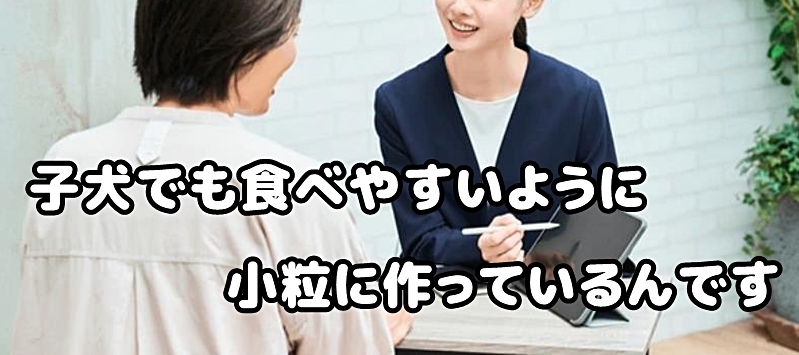 子犬でも食べやすい小粒となっていますと説明する社員