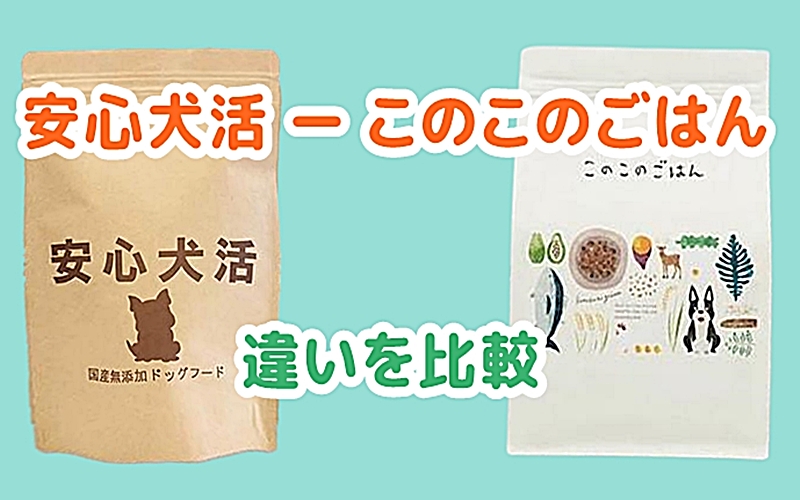 安心犬活とこのこのごはん