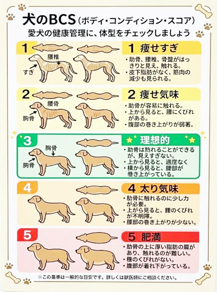 犬のBCS