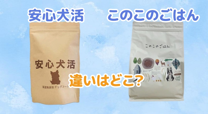 安心犬活とこのこのごはん