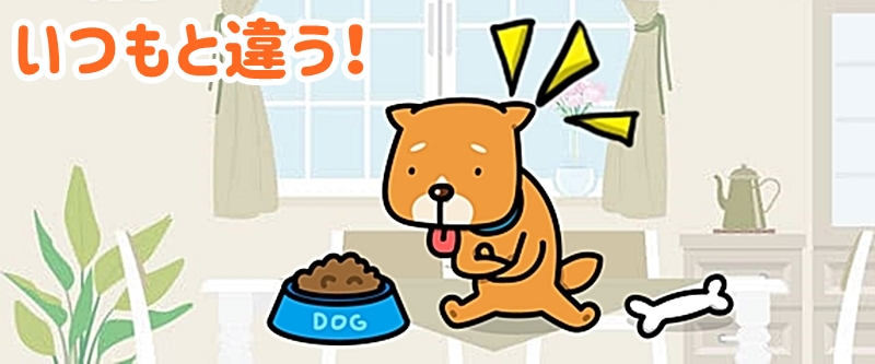 いつもと違うと警戒する愛犬