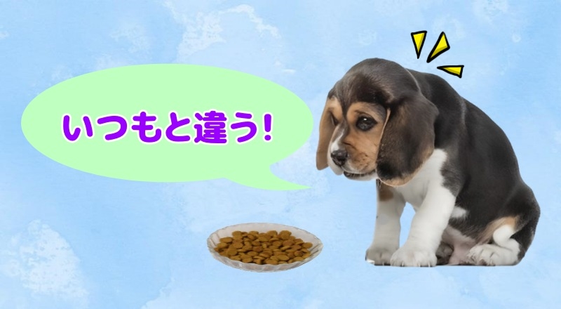 いつもと違うと警戒する愛犬