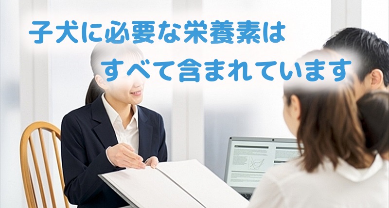 子犬に必要な栄養素はすべて含まれていますと説明する社員