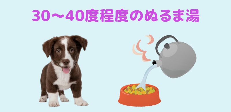 ぬるま湯をフードにかける様子