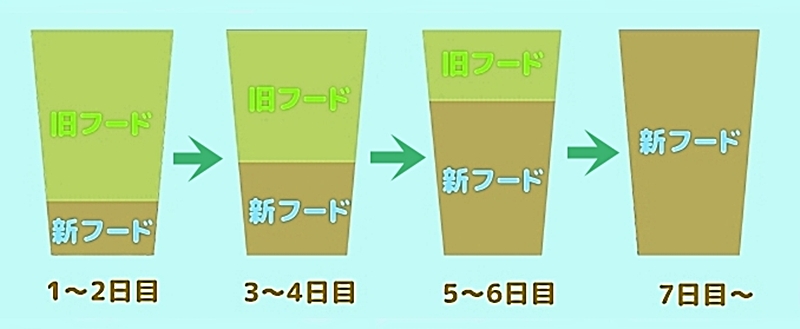 切り替えは1週間かけて少しずつの説明画像