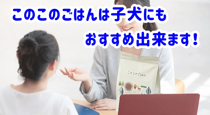 このこのごはん子犬におすすめ