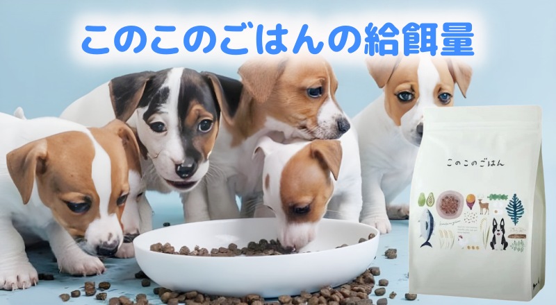 このこのごはんを食べる犬