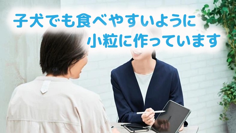 子犬でも食べやすい小粒となっていますと説明する社員