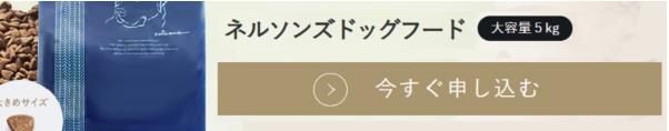 今すぐ申し込むの画面