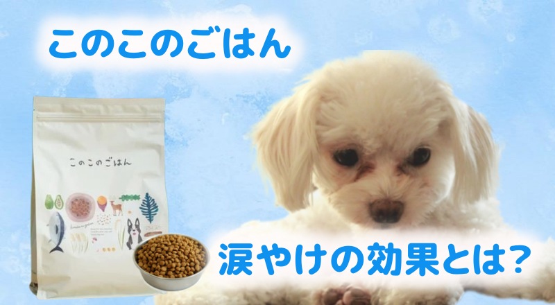 このこのごはんは涙やけ効果とは?