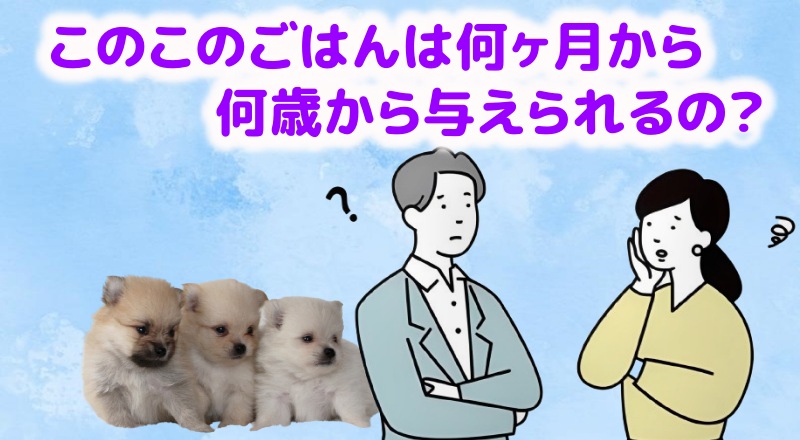 このこのごはんは何ヶ月から?