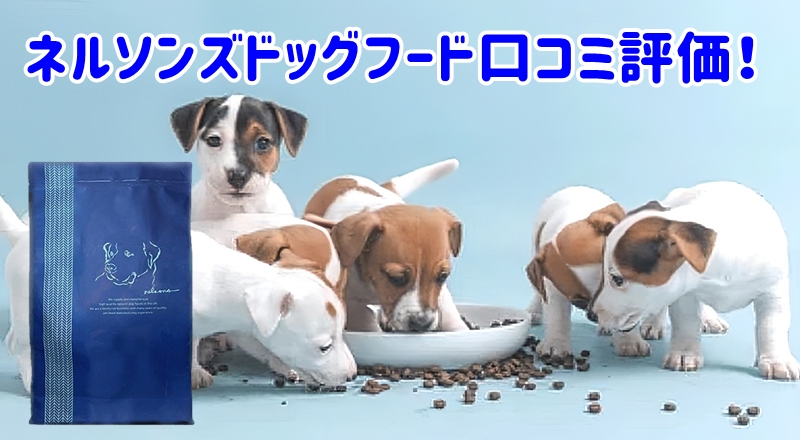 ネルソンズドッグフード口コミと評価