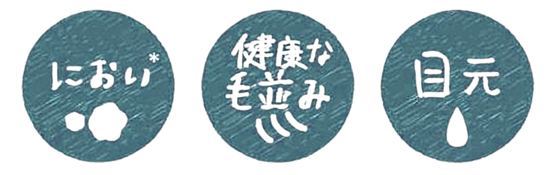 涙やけ・におい・毛並みに特化してアプローチ