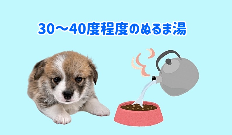 フードにお湯をかける様子