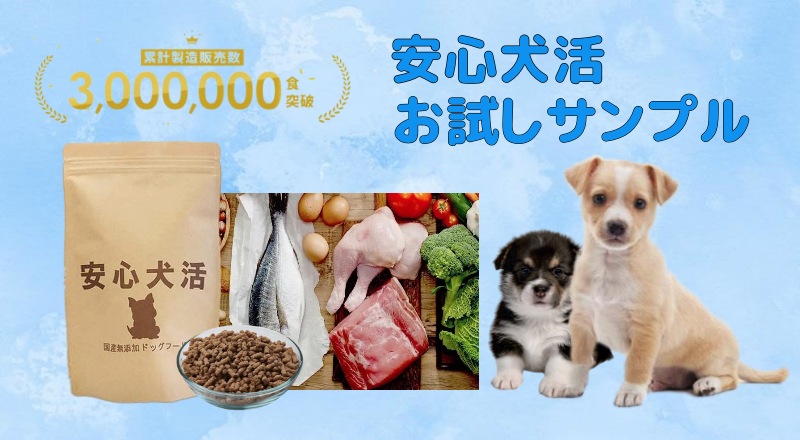 安心犬活お試し