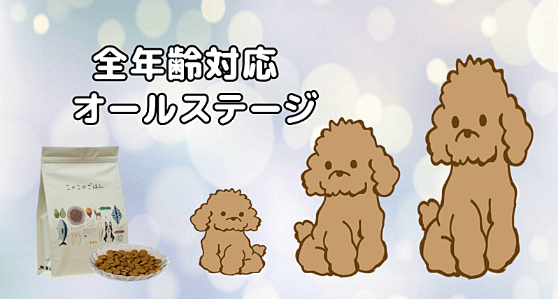 オールステージ対応のフード