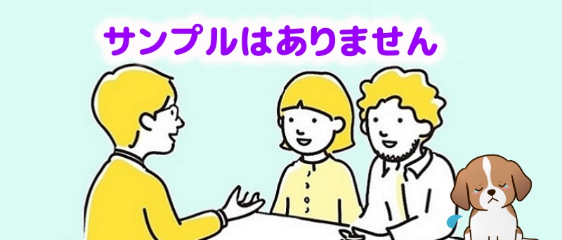 このこのごはんのお試しサンプルはありませんと言うスタッフ