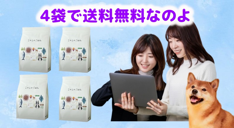 通常価格で購入するの画面