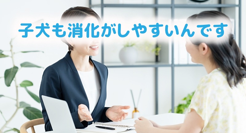 子犬の健康な消化を促進すると説明する社員