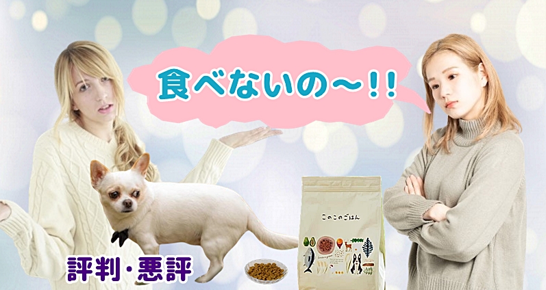 このこのごはんの食いつきが悪い