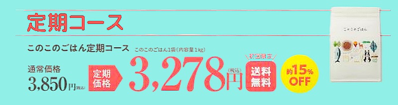 定期コース価格