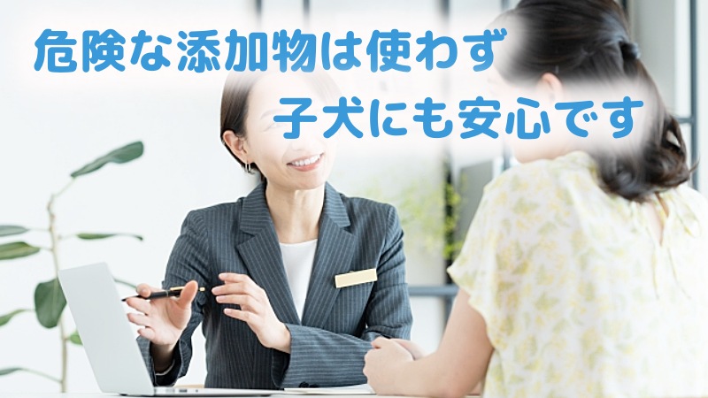 子犬にも安全なフードと説明するスタッフ