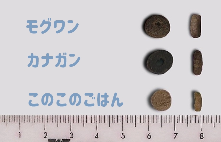 粒の大きさ比較画像