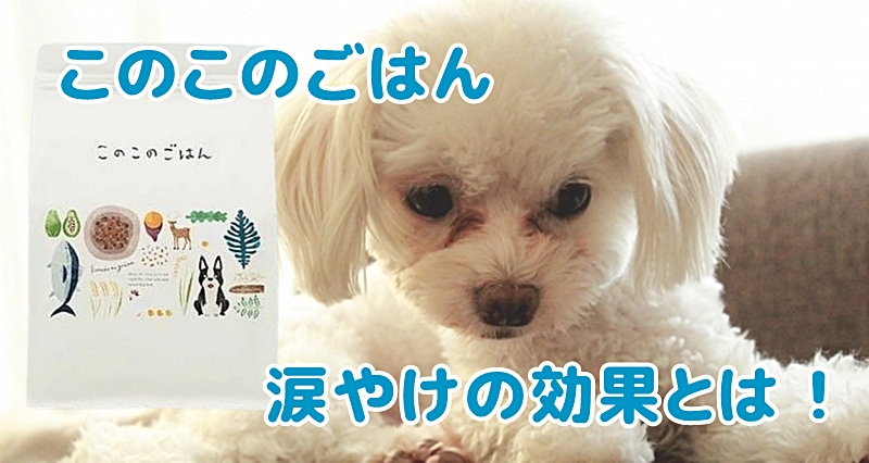 このこのごはんは涙やけに効果ない？