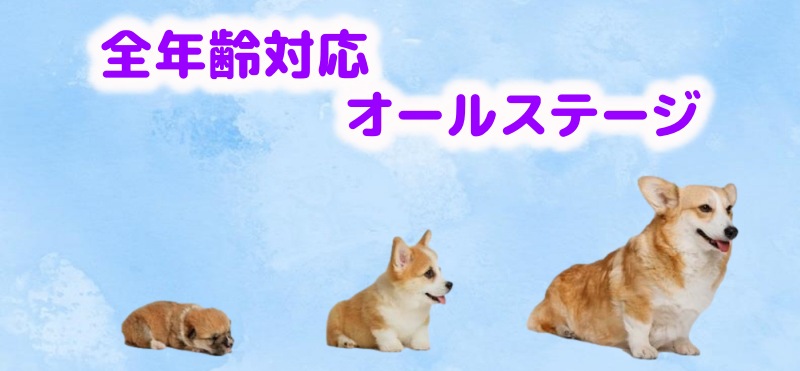 オールステージ対応のフード