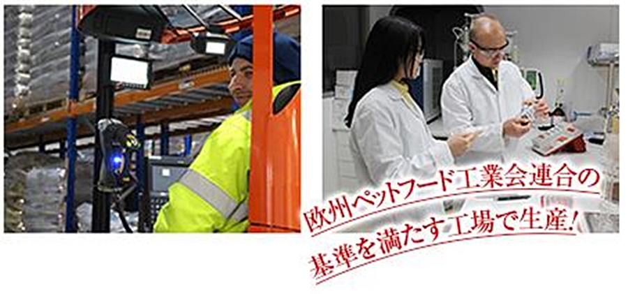 イングランドの最新設備の整った専門工場