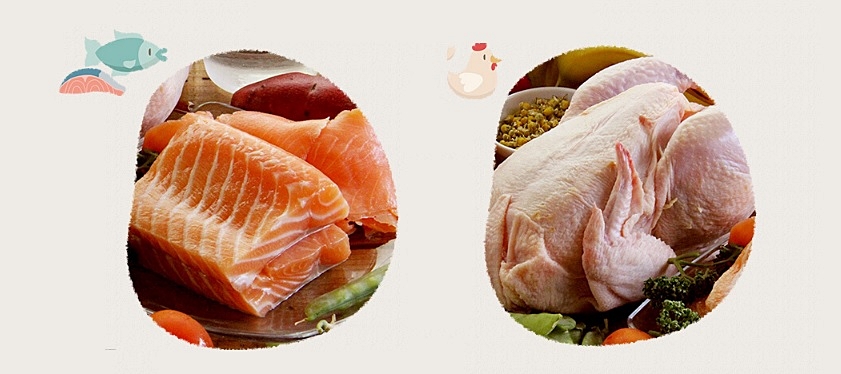 魚や鶏肉の画像