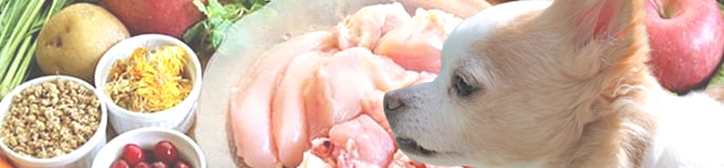 鶏肉