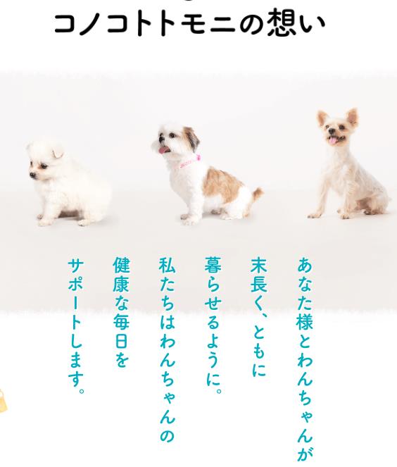 コノコトトモニホームページ