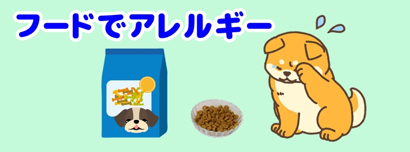 フードが合わない犬
