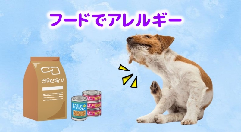 フードが合わない犬