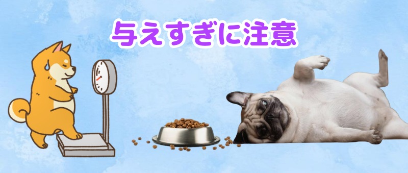 与えすぎて太った犬