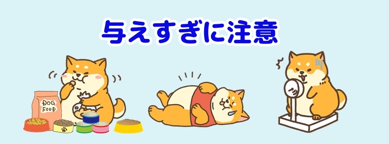 与えすぎて太った犬