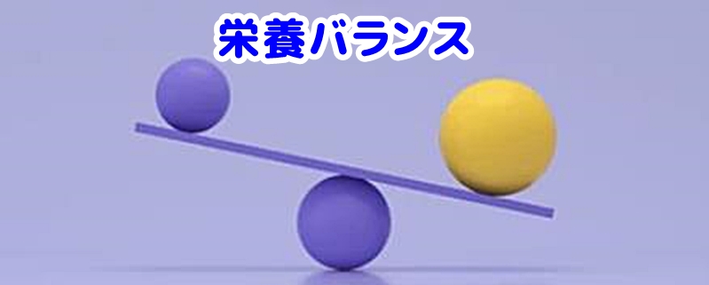 バランスの測り