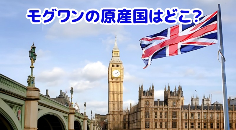 モグワンの原産国はどこ