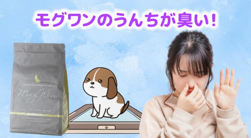 モグワンのうんちが臭い