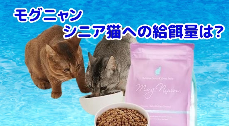 モグニャンのシニア猫への給餌量