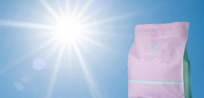 太陽光に当たるモグニャンの様子